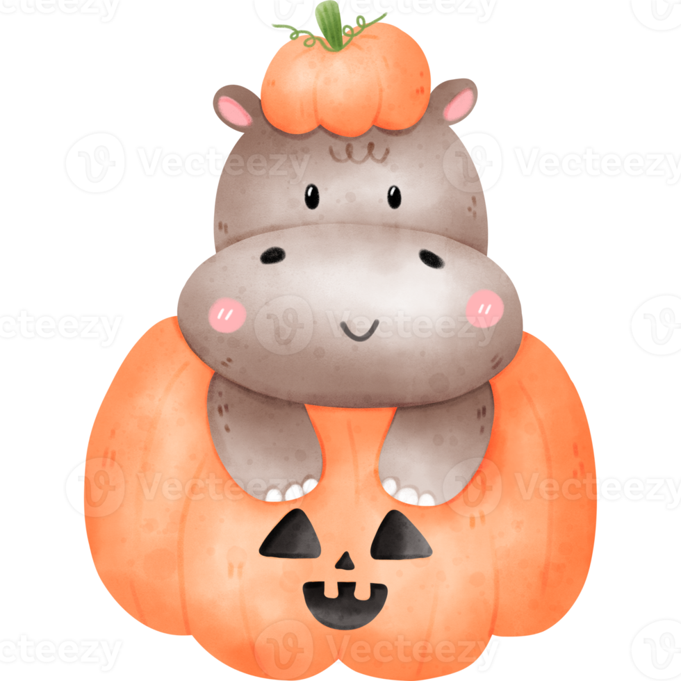 Hippo in Halloween pumpkin png