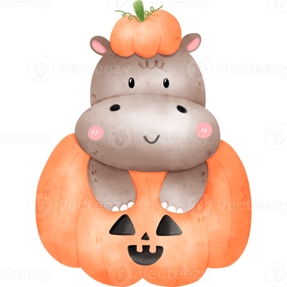 hipopótamo na abóbora de halloween png