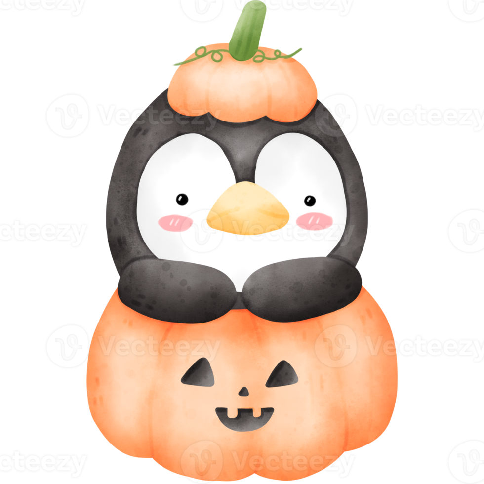 Penguin in Halloween pumpkin png