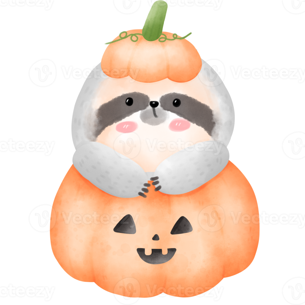 Sloth in Halloween pumpkin png