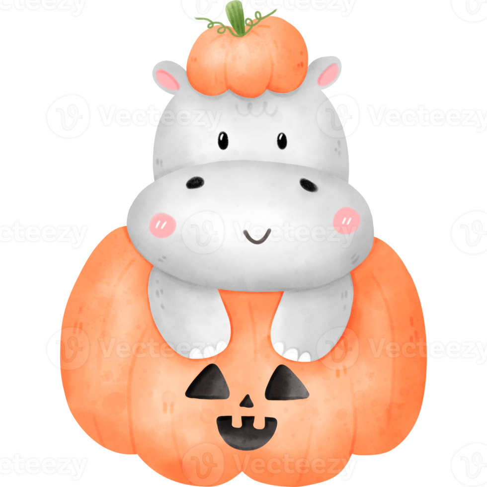 Hippo in Halloween pumpkin png
