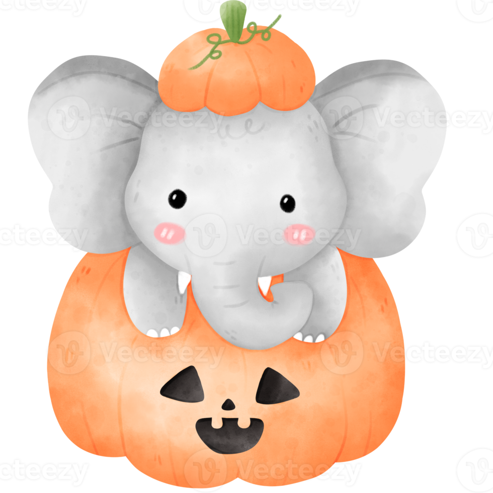 Elefant im Halloween-Kürbis png