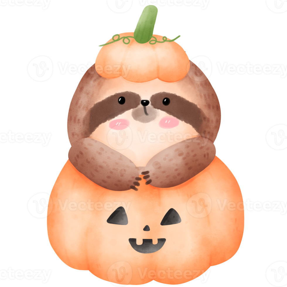 Sloth in Halloween pumpkin png