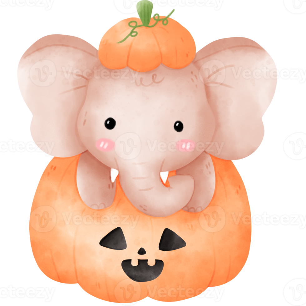 Elephant in Halloween pumpkin png