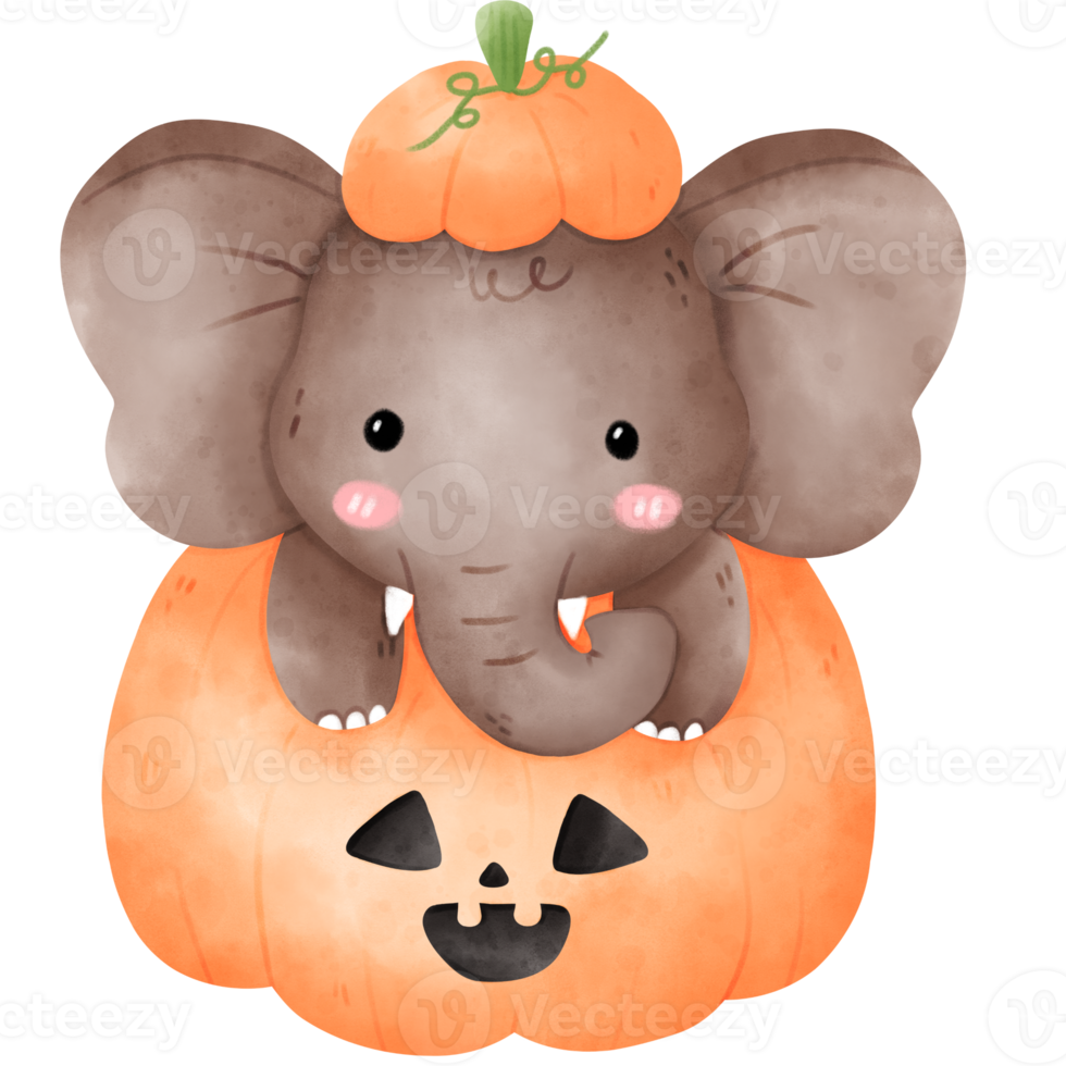 Elephant in Halloween pumpkin png