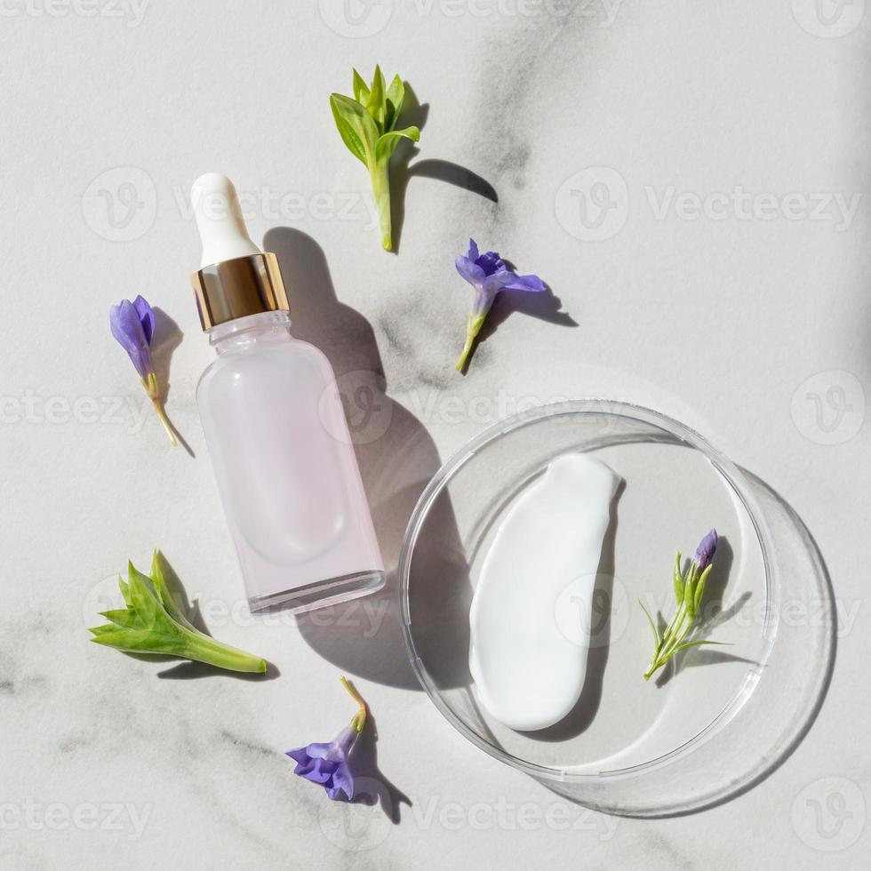 anti age serum in glass bottle and face cream swatch. unbranded cosmetic product on laboratory petri dishes. cosmetology concept. medical professional skin care. photo