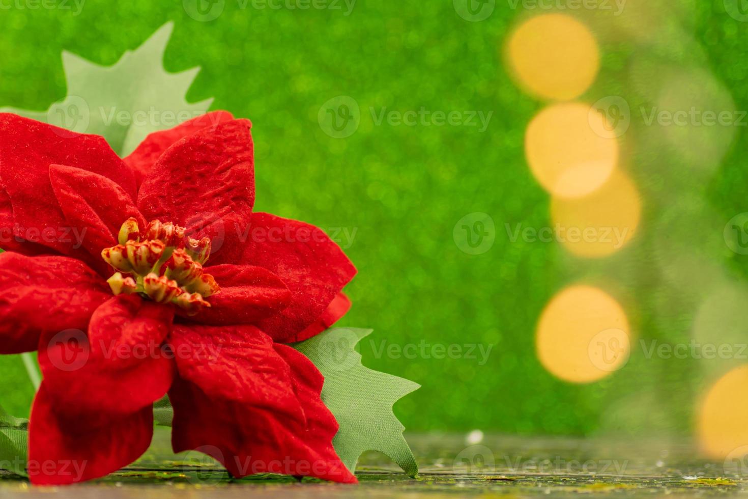 Red poinsettia. Christmas traditional flower on green sparkling background with bokeh lights. Festive greeting card with copy space photo