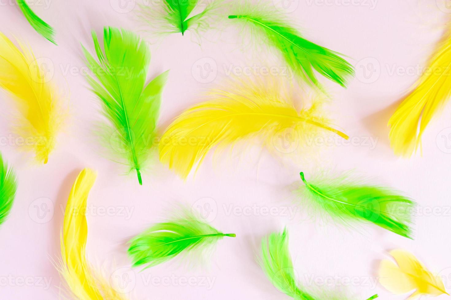 Trendy frame with Beautiful green and yellow bird feathers on pink pastel background. Flat lay with copy space. photo