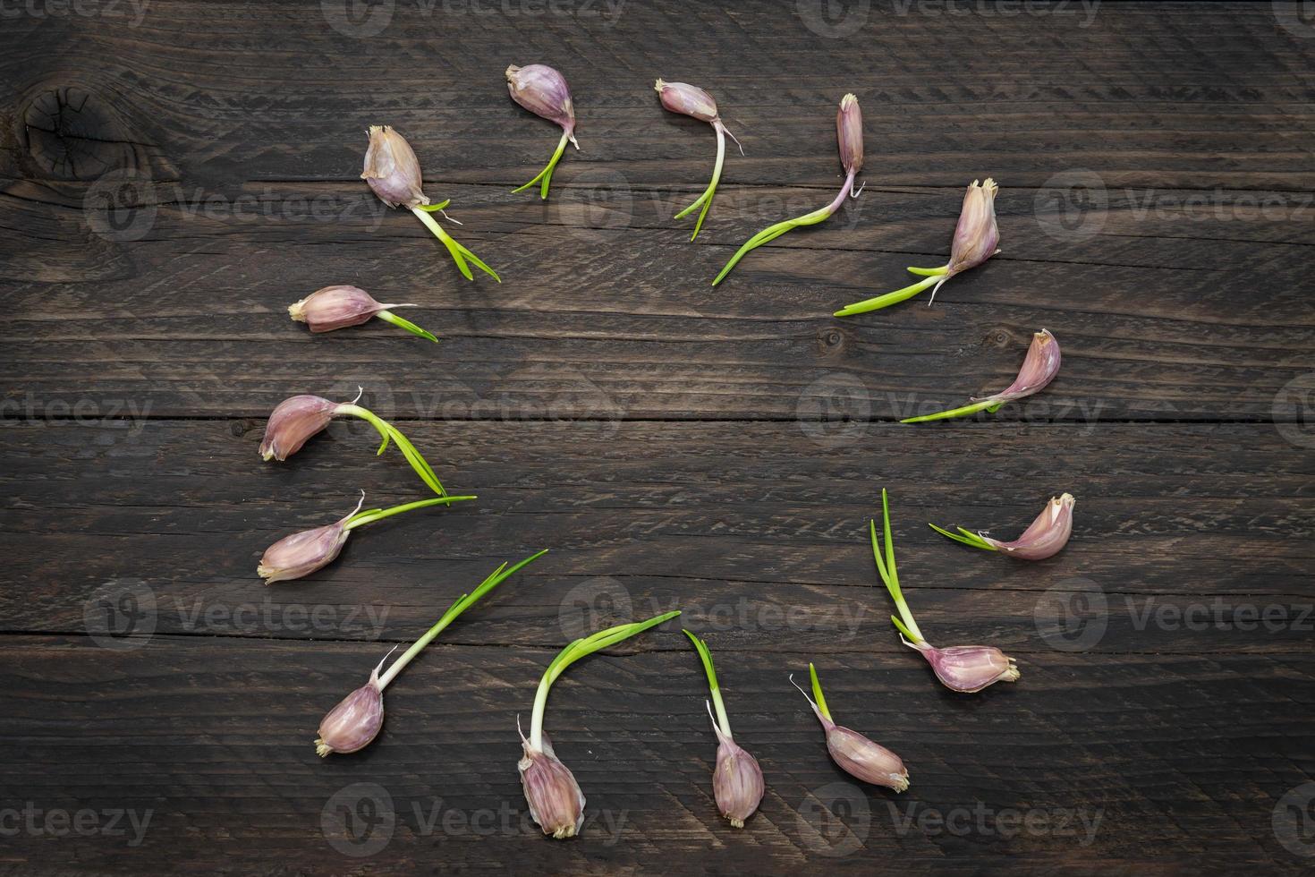 Food frame made of germ sprouted garlic on wooden background. Copy spce for your design. photo