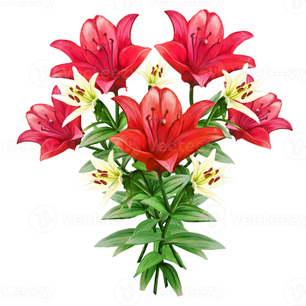 bouquet de fleurs de lys multicolores, illustration d'hémérocalles png
