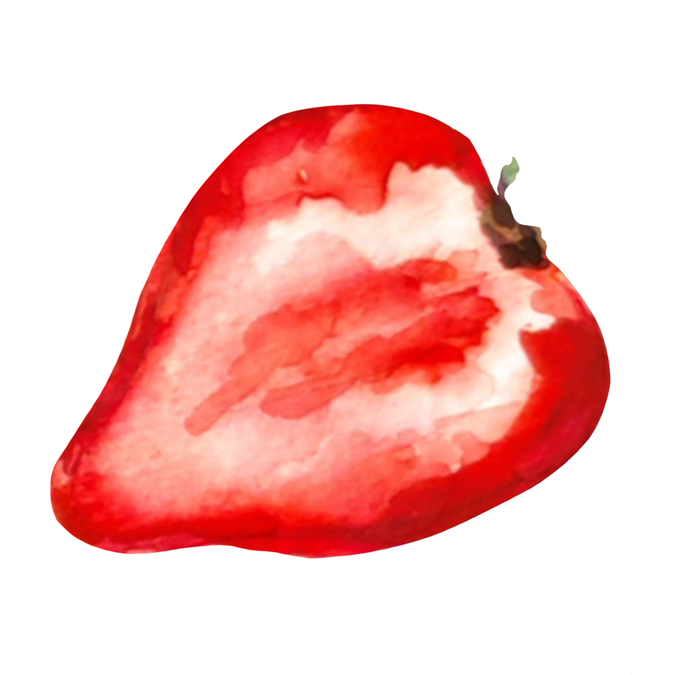 strawberry watercolor illustration png