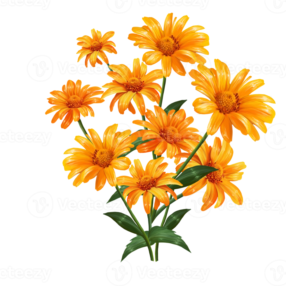 bukett av blommor gerbera, illustration png