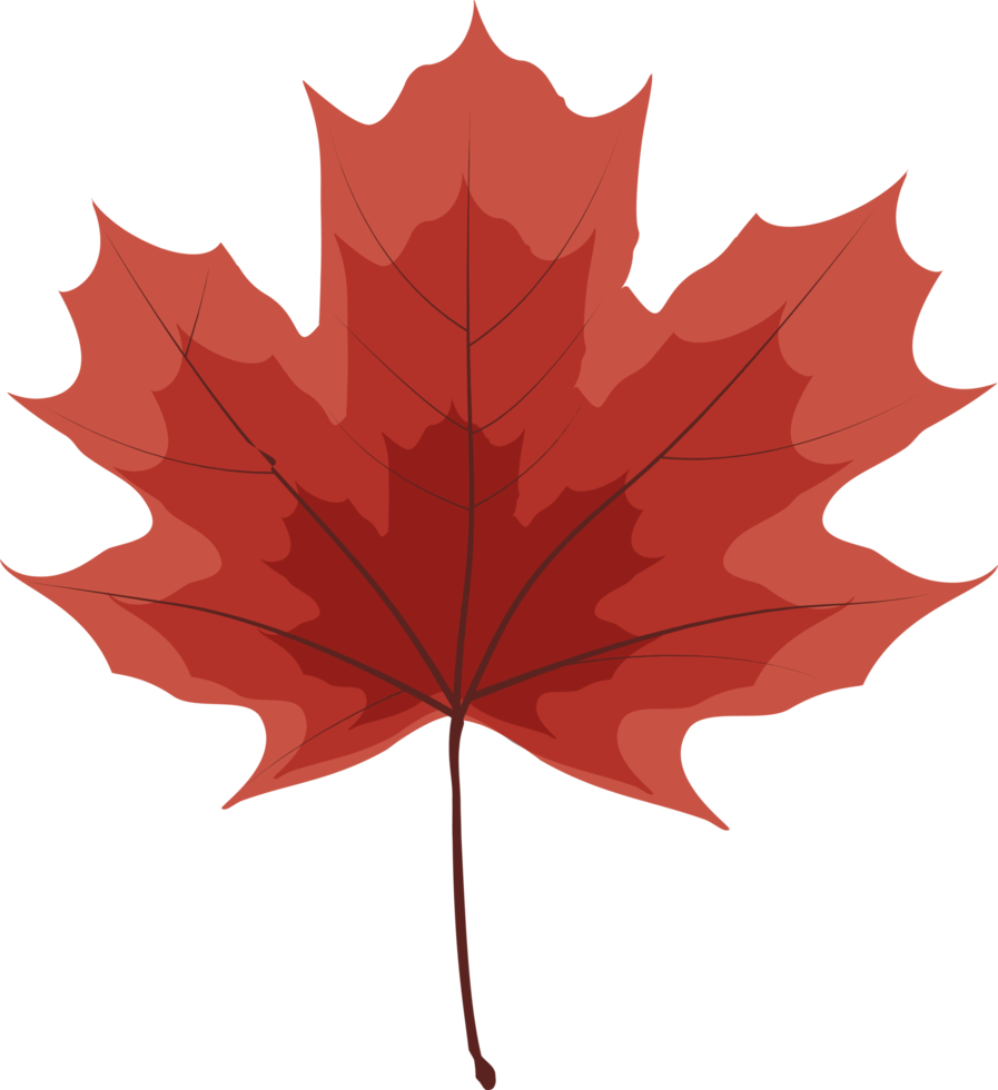 Autumn Fall Leaf png