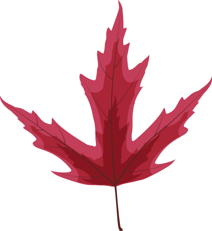 Autumn Fall Leaf png