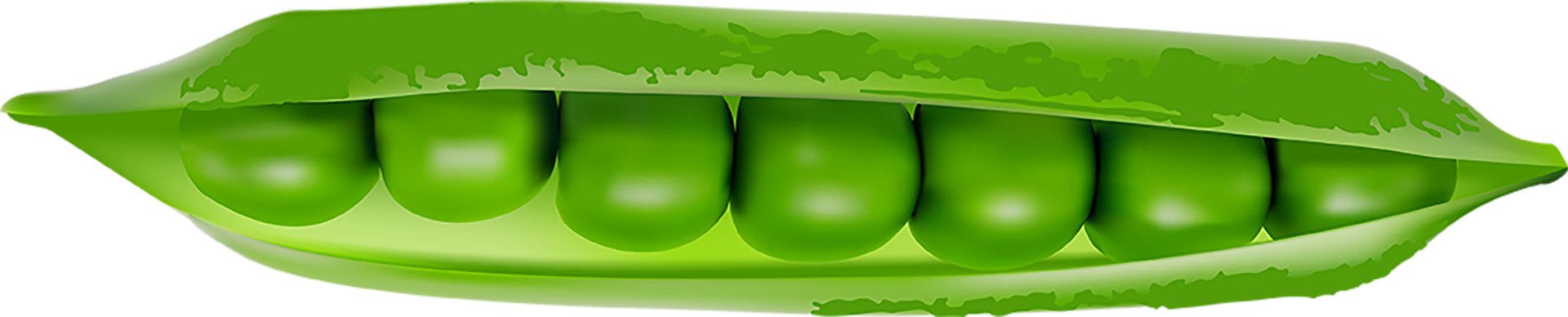 Green Pod of Ripe Peas cut out png