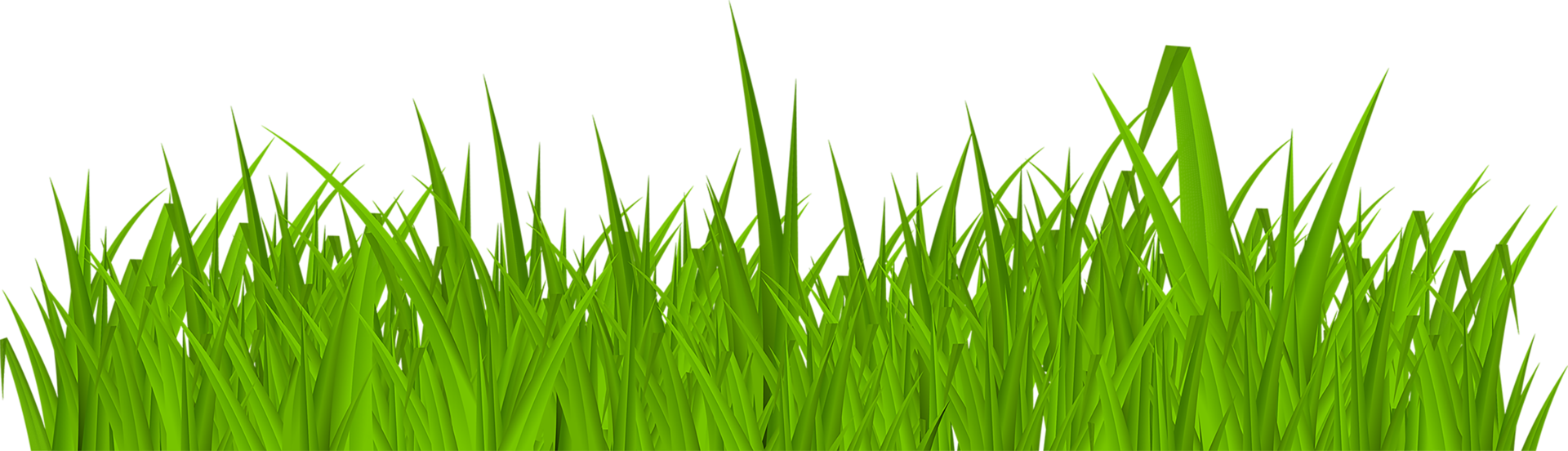 grönt växande gräs. png