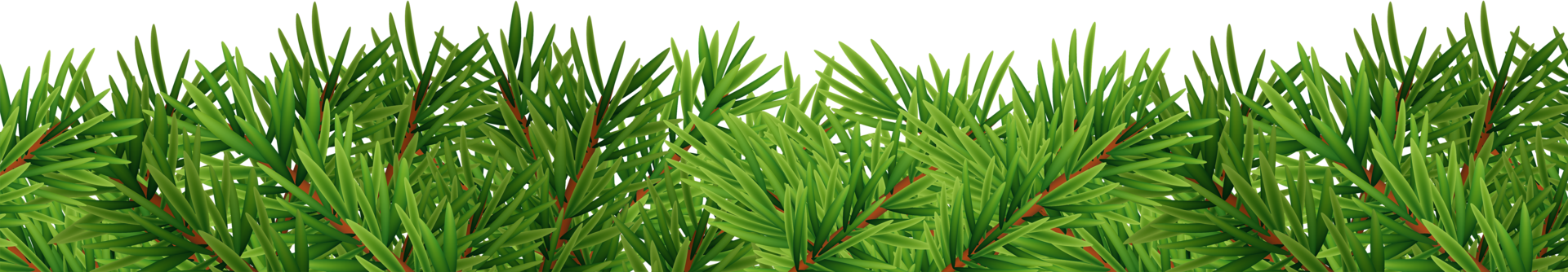 leg garland of fir branches png