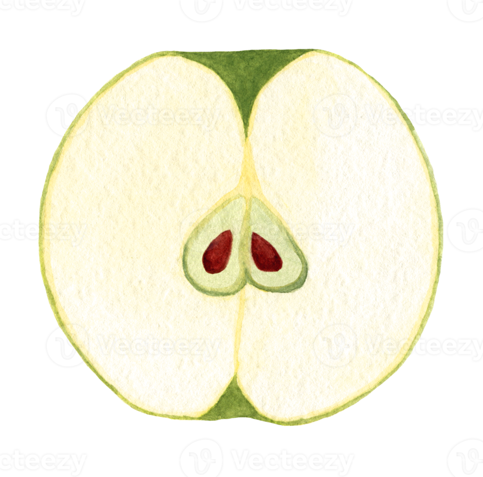 Mela verde fetta, mano disegnato nel acquerello. isolato elemento su un' trasparente sfondo per Stampa e design. succoso frutta colorato per arredamento png