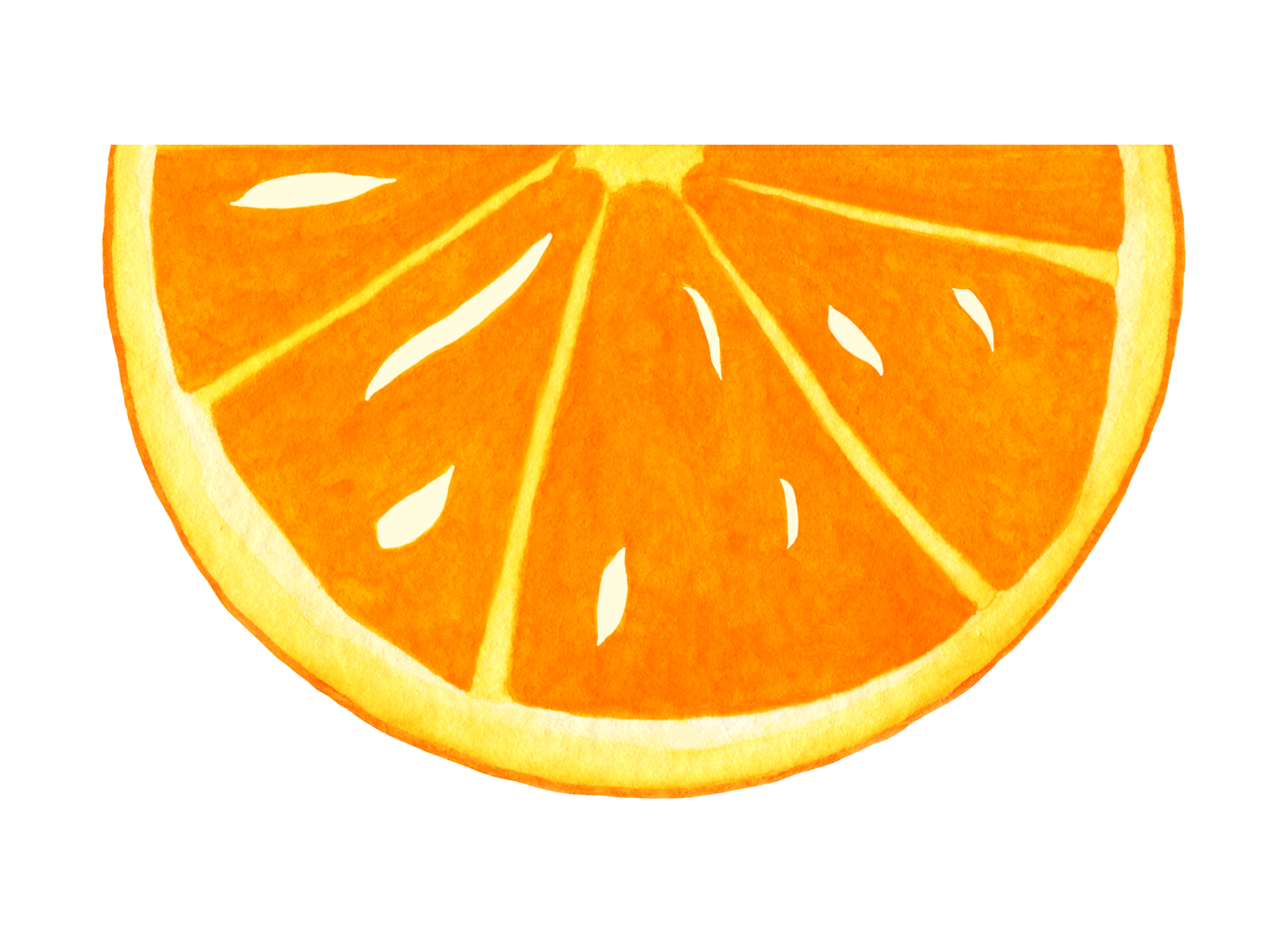 Orange slice, hand drawn in watercolor. Isolated element on a