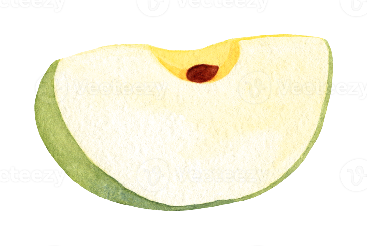 rodaja de manzana verde, dibujada a mano en acuarela. elemento aislado sobre un fondo transparente para impresión y diseño. jugosa fruta colorida para decorar png