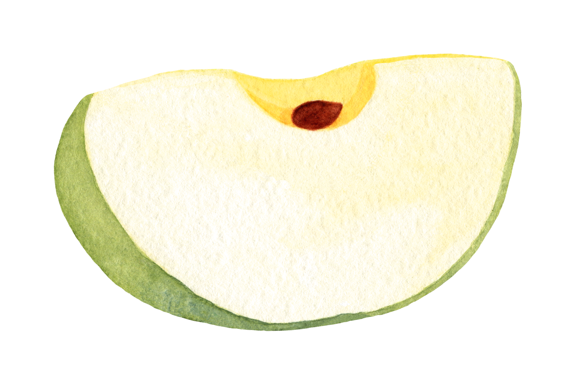 Apple green slice, hand drawn in watercolor. Isolated element on a