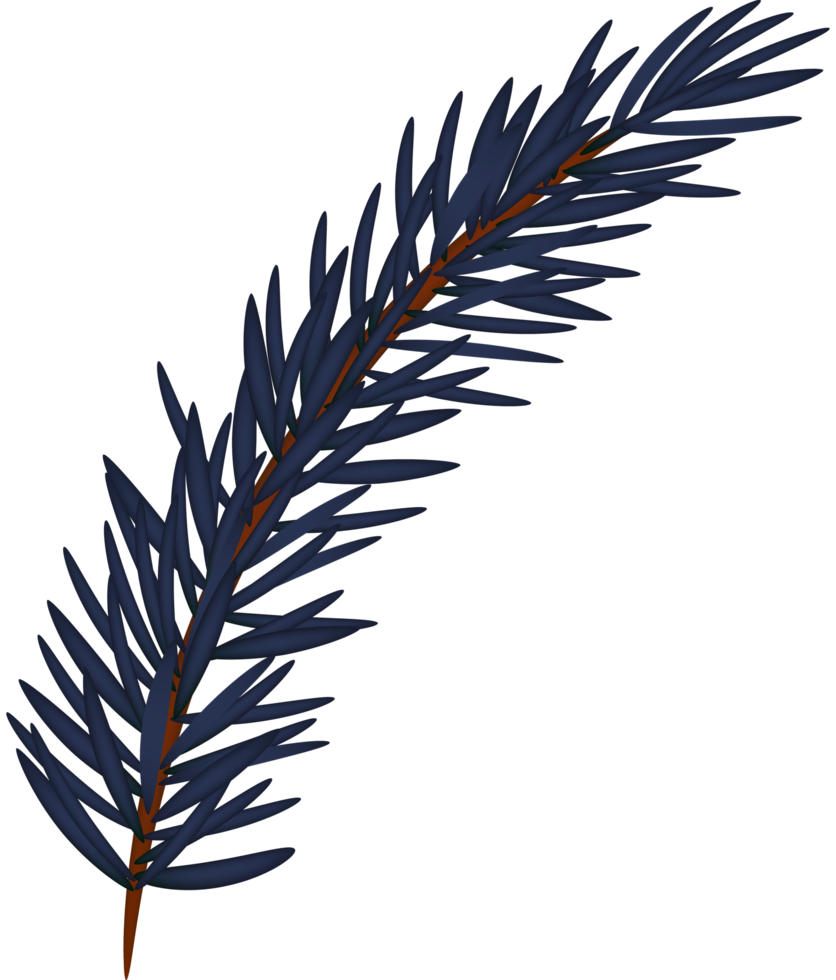 abeto natural azul png