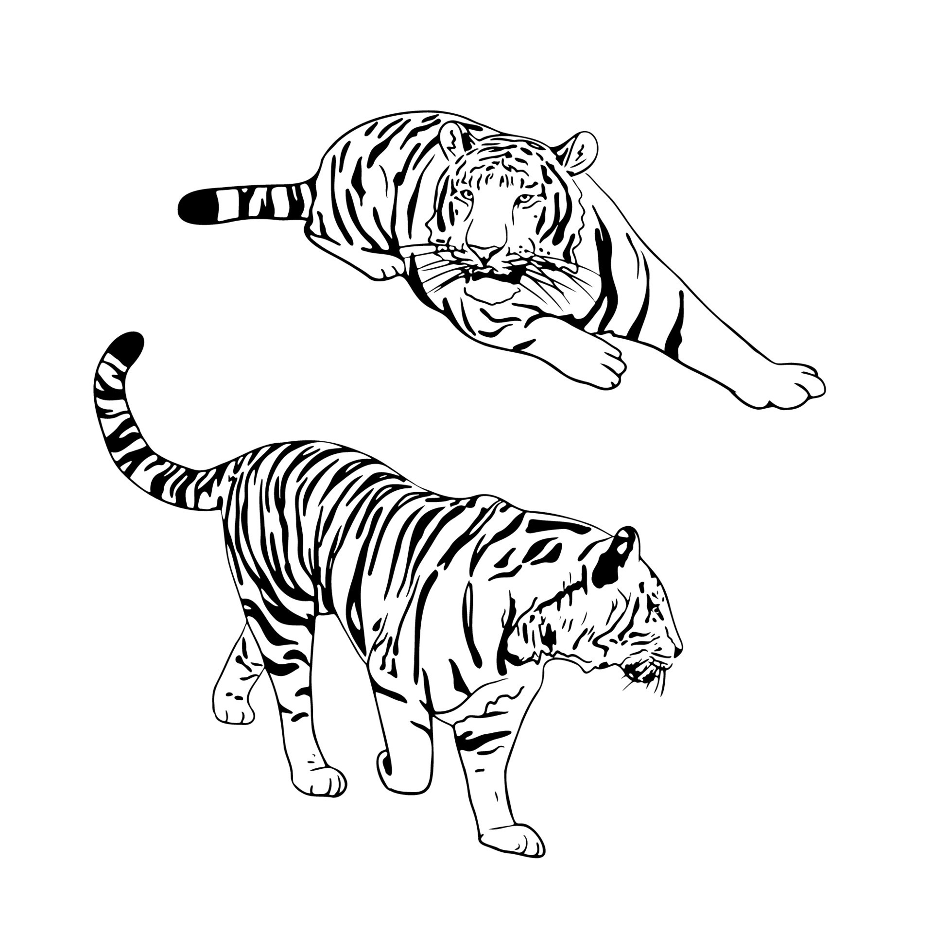 100000 Tiger drawing Vector Images  Depositphotos
