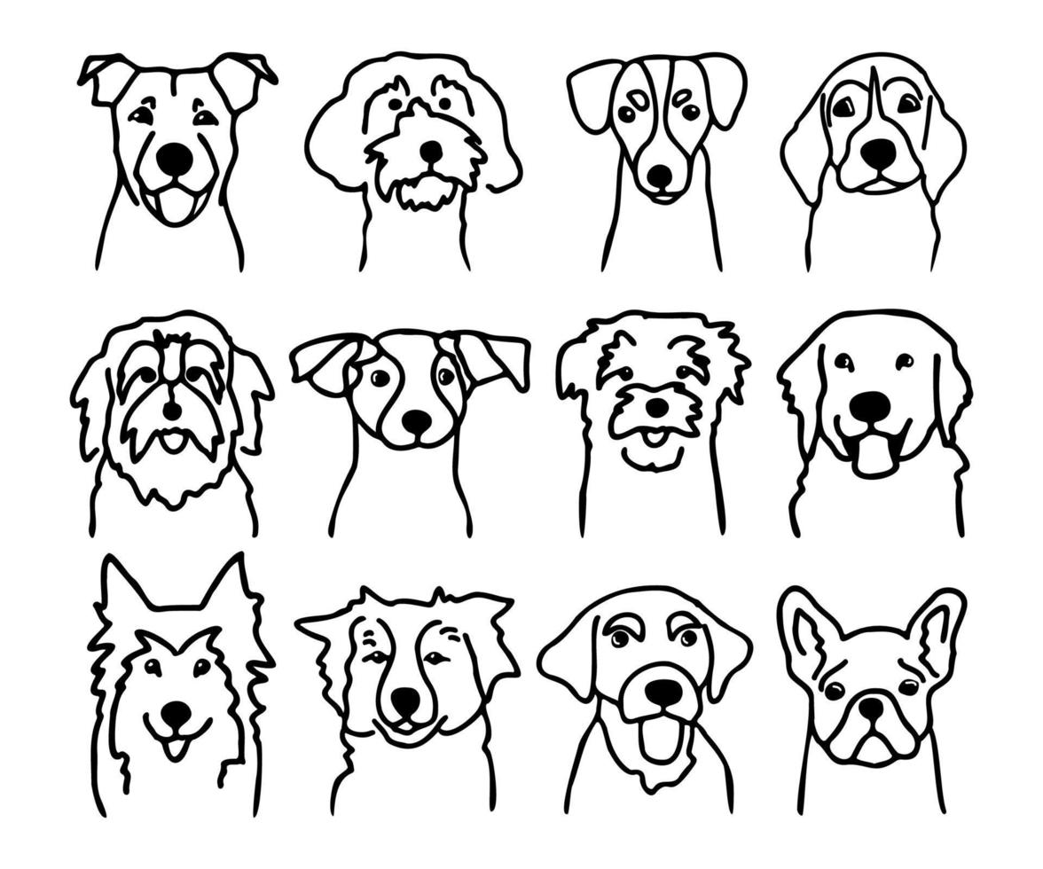 Set of different dog faces. Canine breeds in doodle style. Ink hand drawn heads of funny puppies. Pets contour simple kids style vector illustration