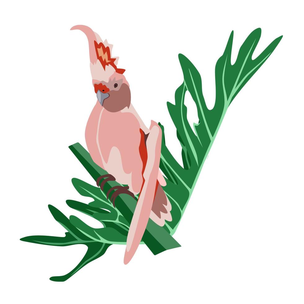 Tropical hand drawn colorful parrot with plants and leaves. Cockatoo pink plums parrot. Vector illustration isolated on white background.