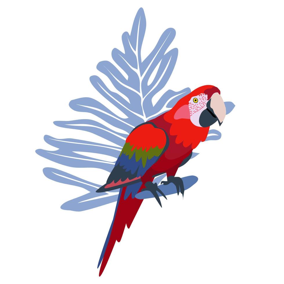 Parrot ara colorido dibujado a mano tropical con fondo de hoja. loro guacamayo ilustración vectorial aislado sobre fondo blanco. vector