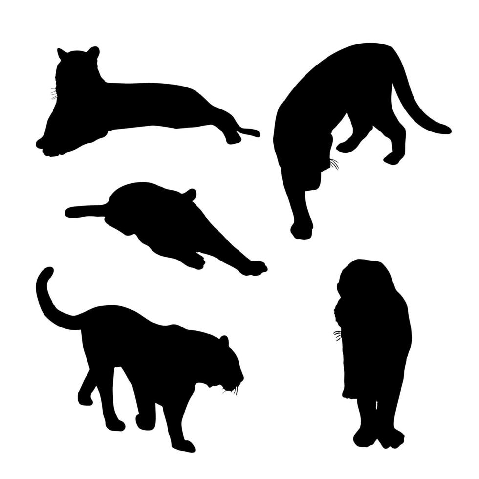 Set of big tiger black silhouettes. Chinese tigers in different poses vector illustration