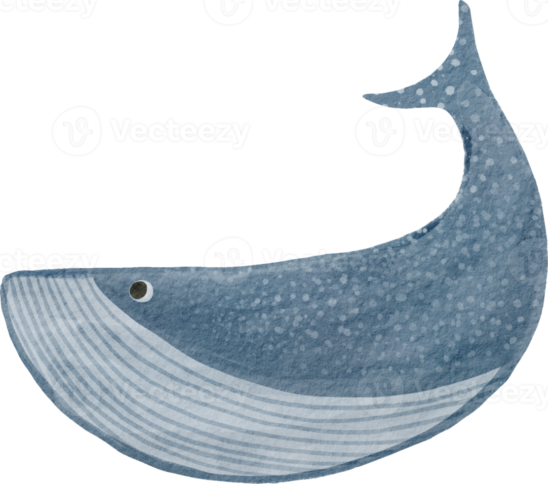 Watercolor blue whale png