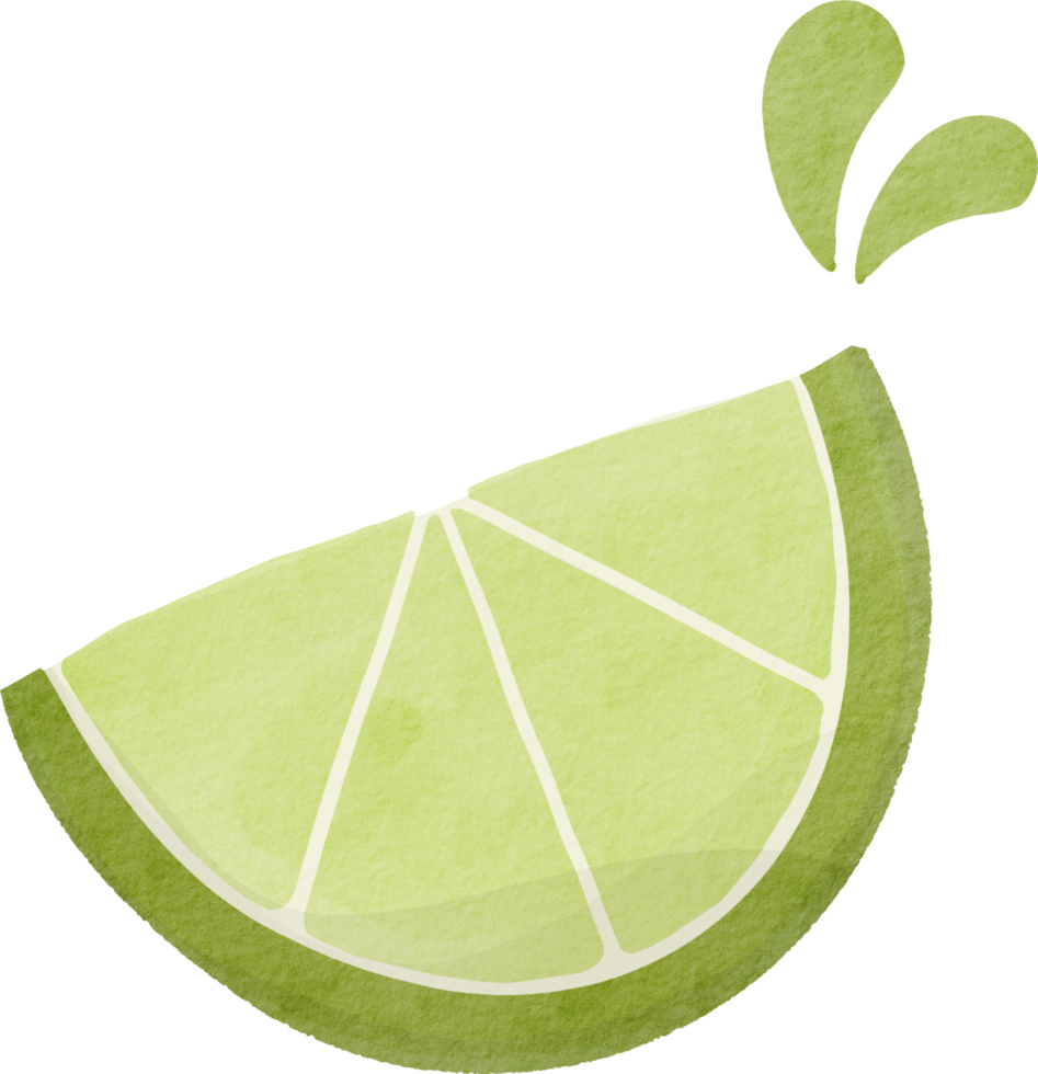 Aquarell Limettenscheibe png