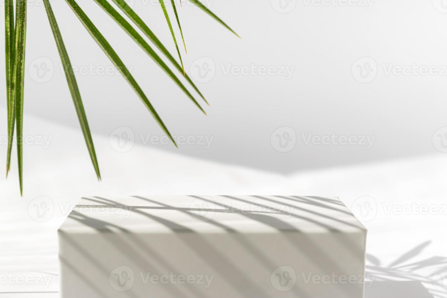 white podium with palm leaves on white background. Concept scene stage showcase for product, promotion, sale, banner, presentation of cosmetic products. Minimal showcase empty mock up. photo