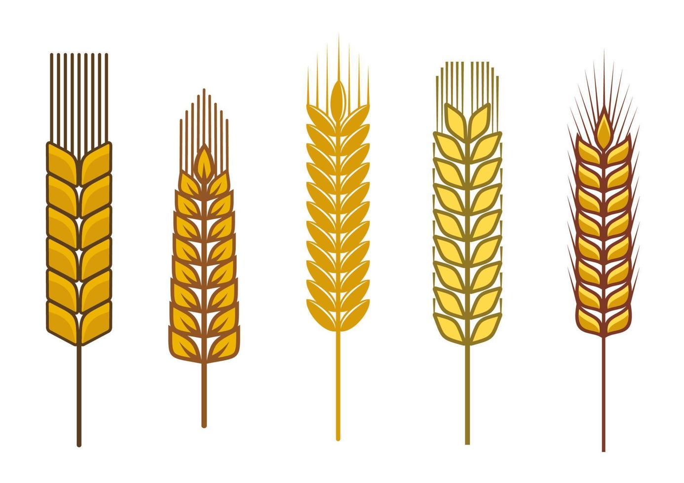 Cereal design elements vector