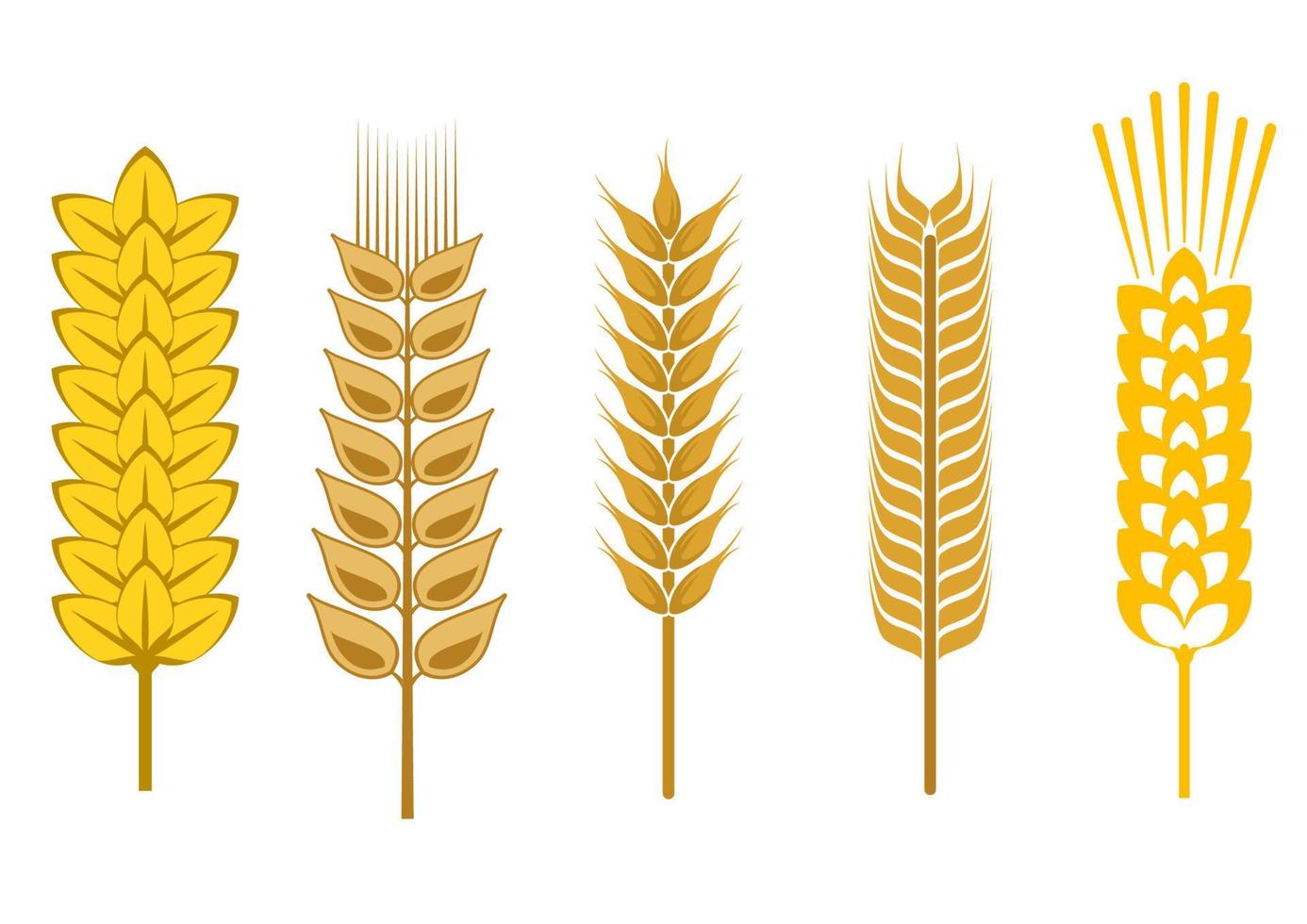 Cereal design elements vector