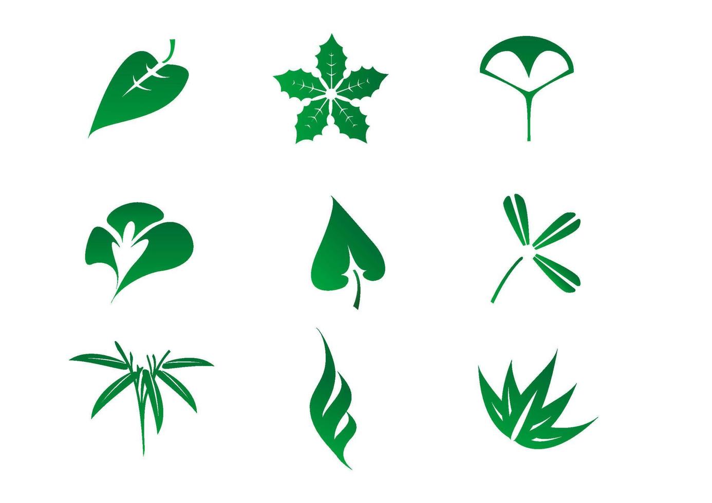 Set of leaves icon vector