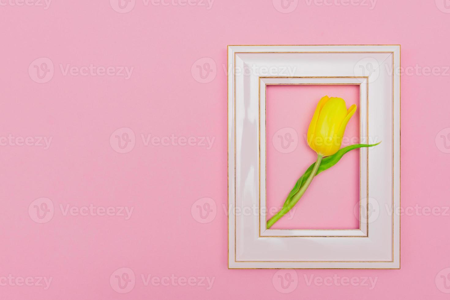 Beautiful composition with spring flowers. Photo frame, yellow tulip on pastel pink background