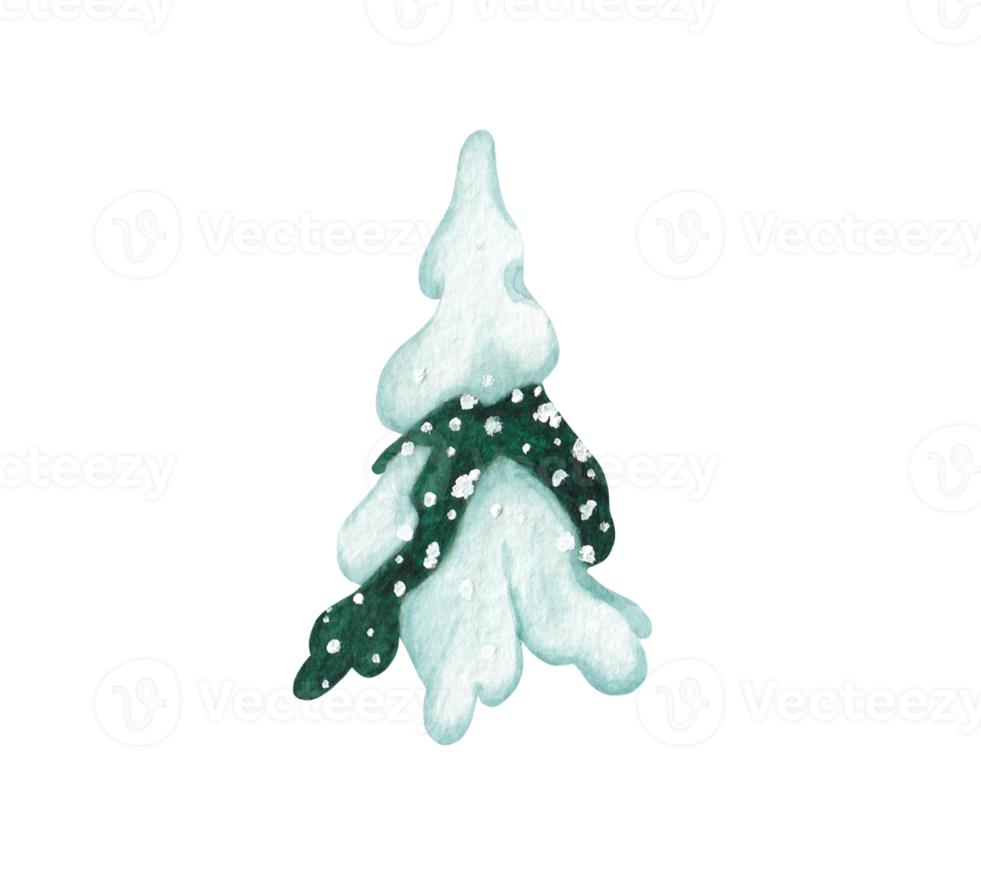 Watercolor illustration of a spruce in the snow png