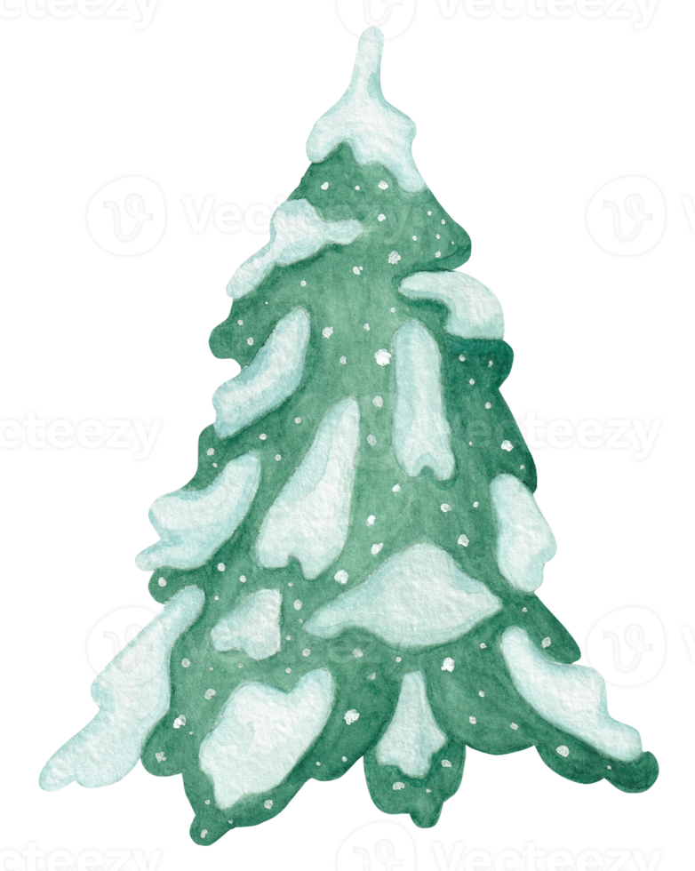 Watercolor illustration of a spruce in the snow png