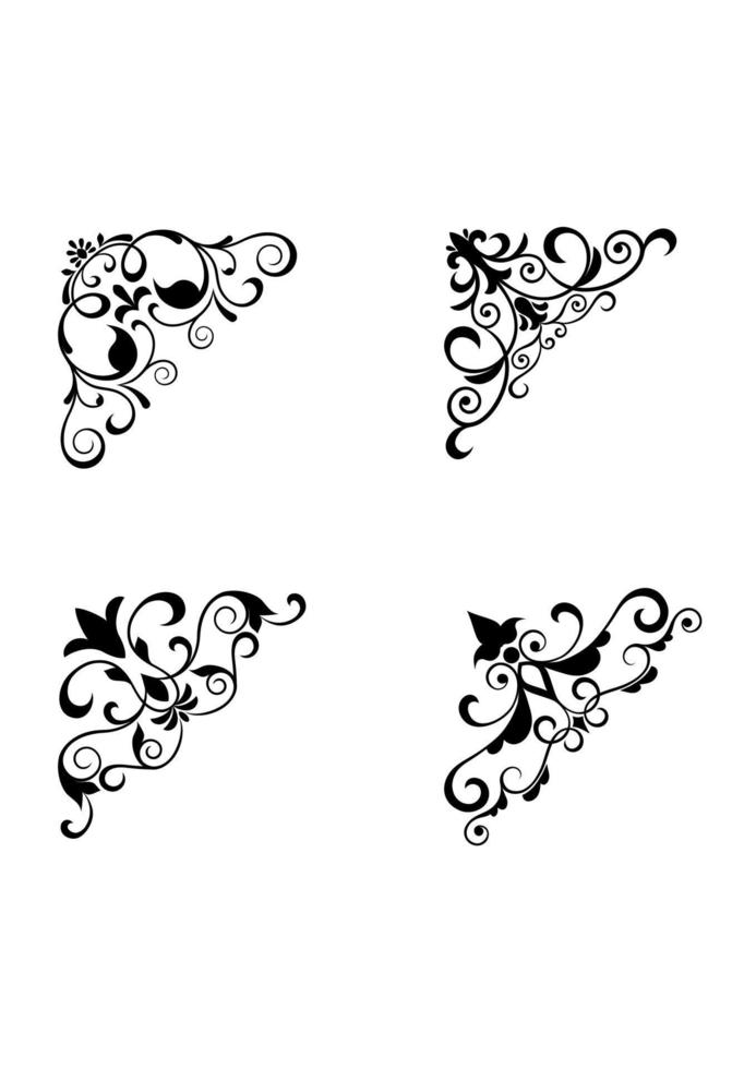 patrones de flores y bordes vector