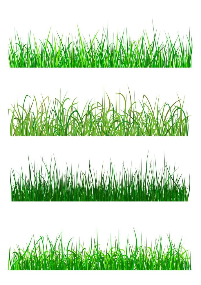 Field and meadow grass patterns vector