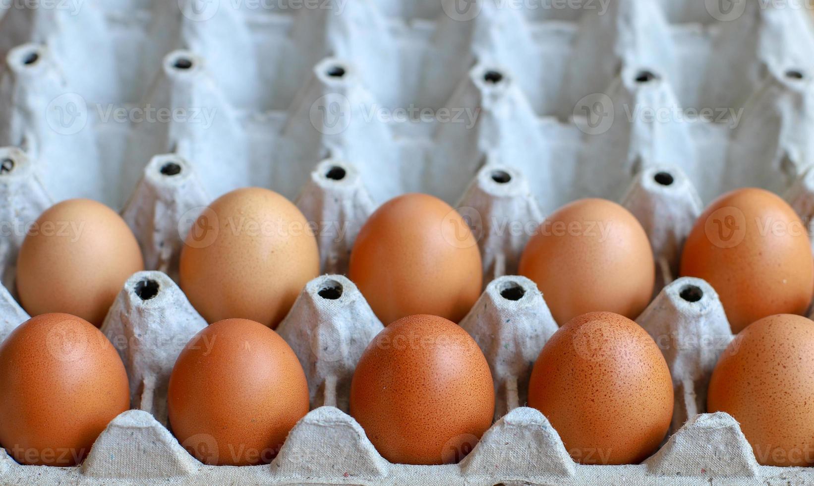 Closeup of eggs photo