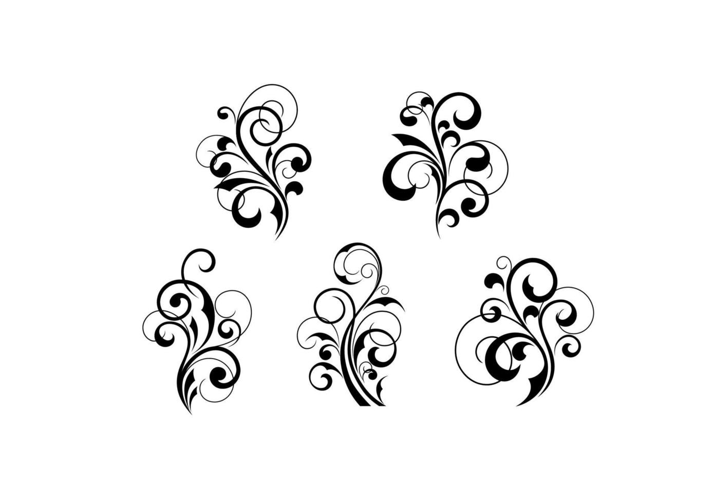 Floral elements and motifs vector