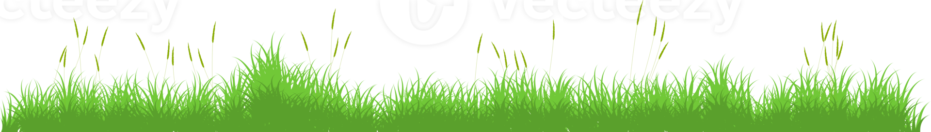 green grass. grass field png