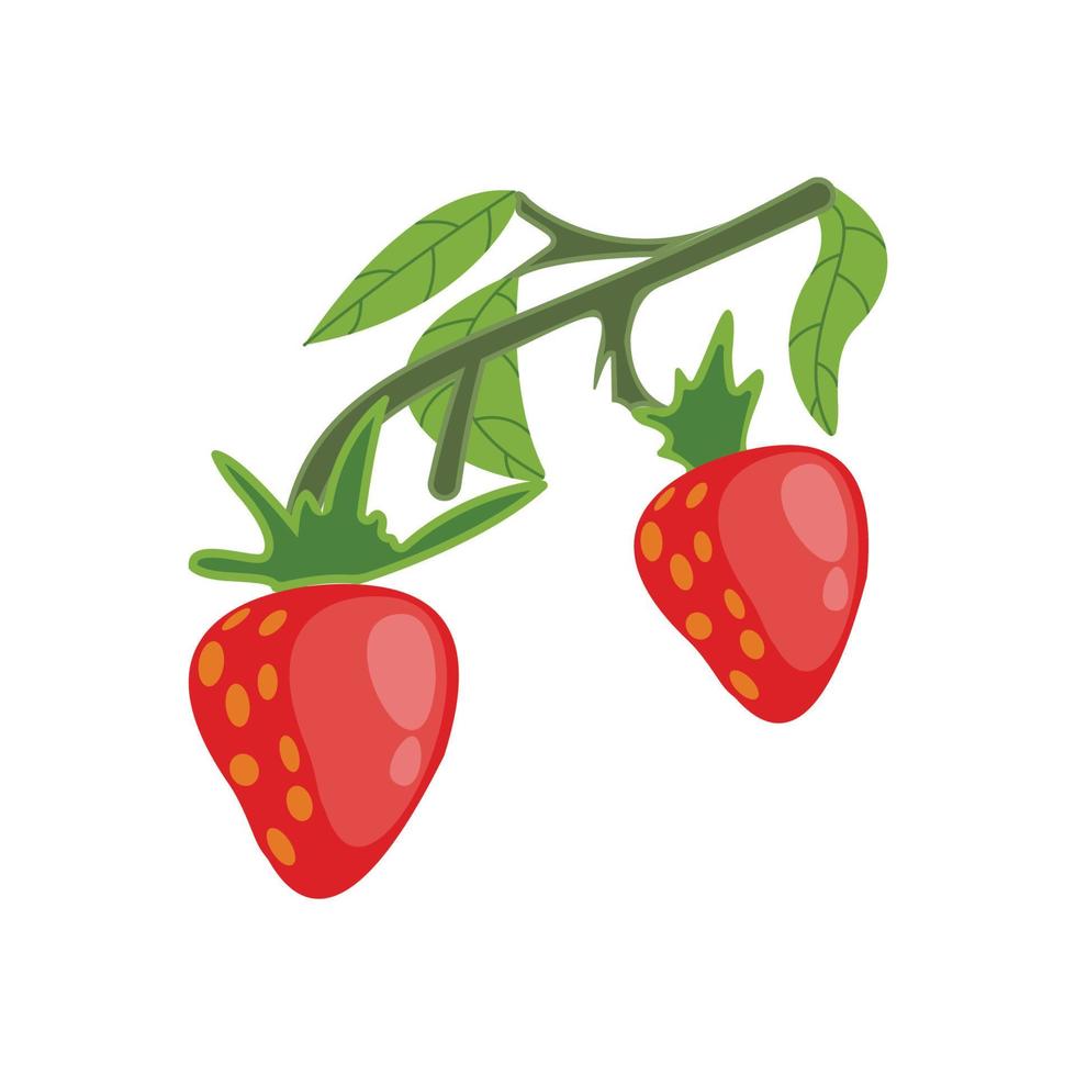 on a white background, a strawberry branch vector