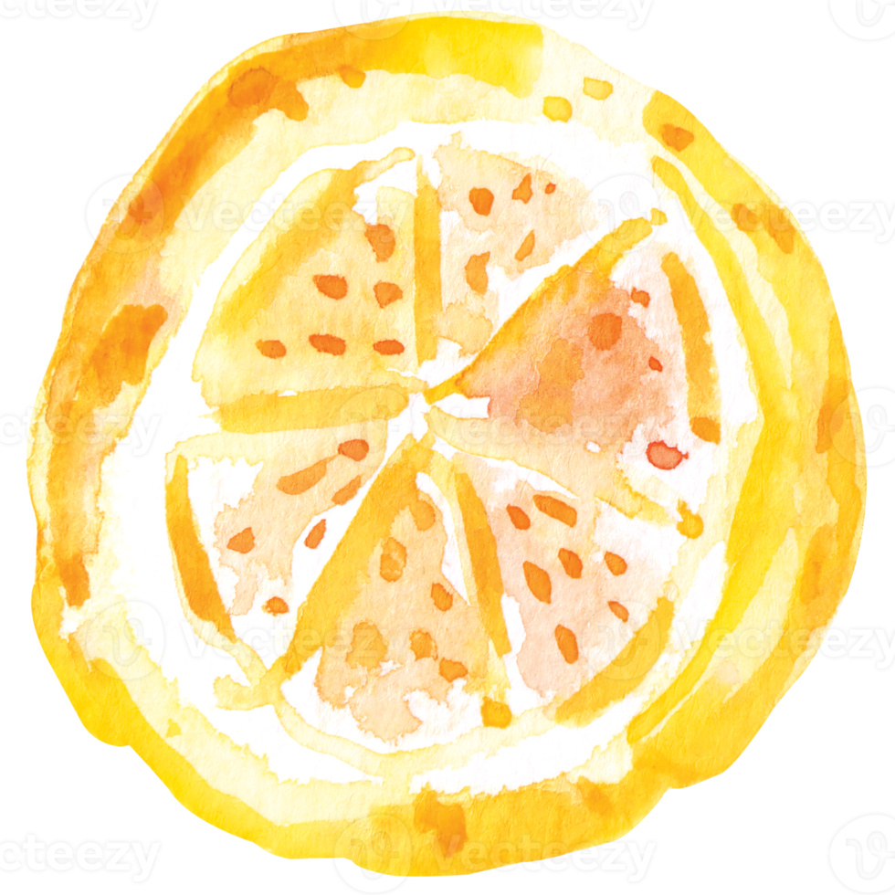 Fresh fruits sliced,lemons drawing with watercolor.Citrus fruits contain vitamin C.Yellow sour lime. png