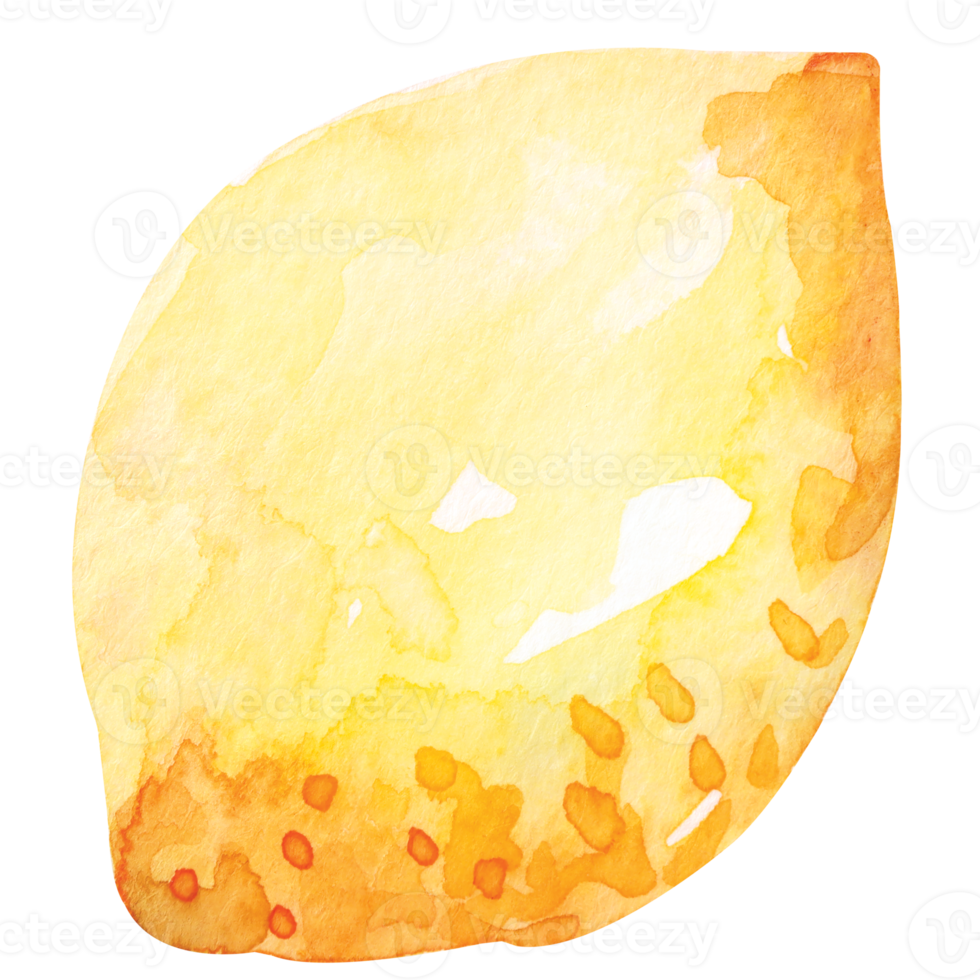 vers fruit gesneden, citroenen tekening met aquarel.citrus fruit bevatten vitamine c.geel verzuren limoen. png