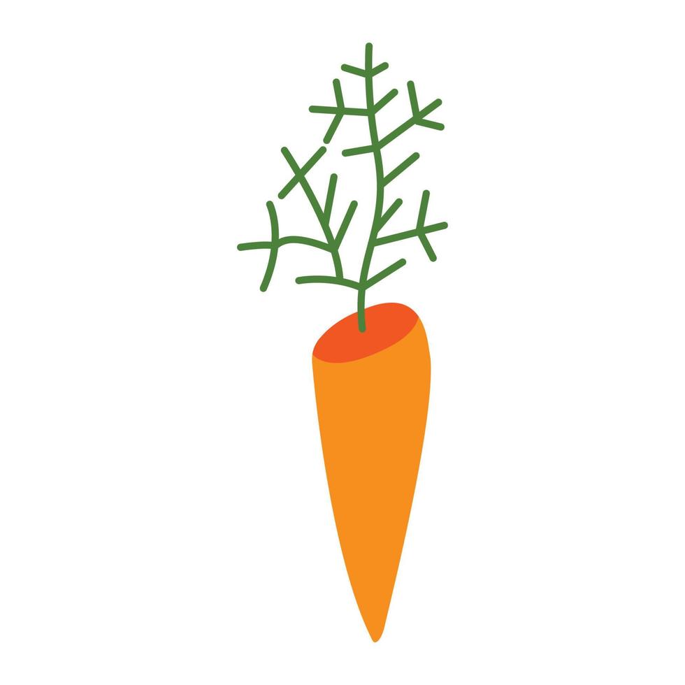 Vector image of a carrot in a flat style, for design purposes.