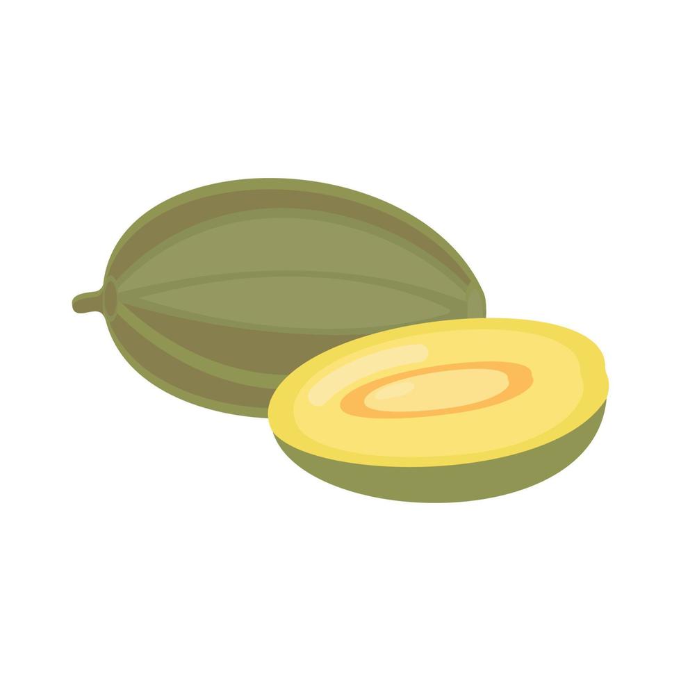 On a white background, a whole, fresh melon is isolated. For any design, a vector illustration.